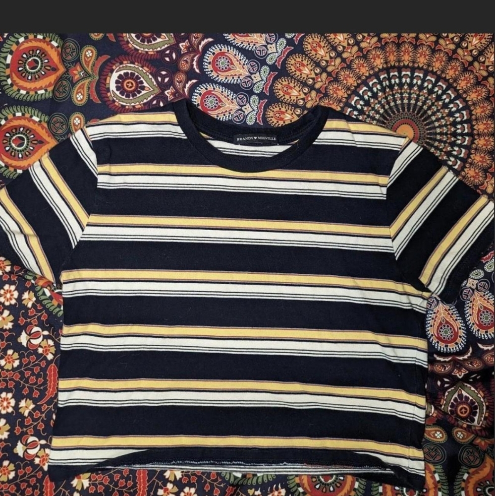 Brandy Melville John Galt Cropped Striped Top